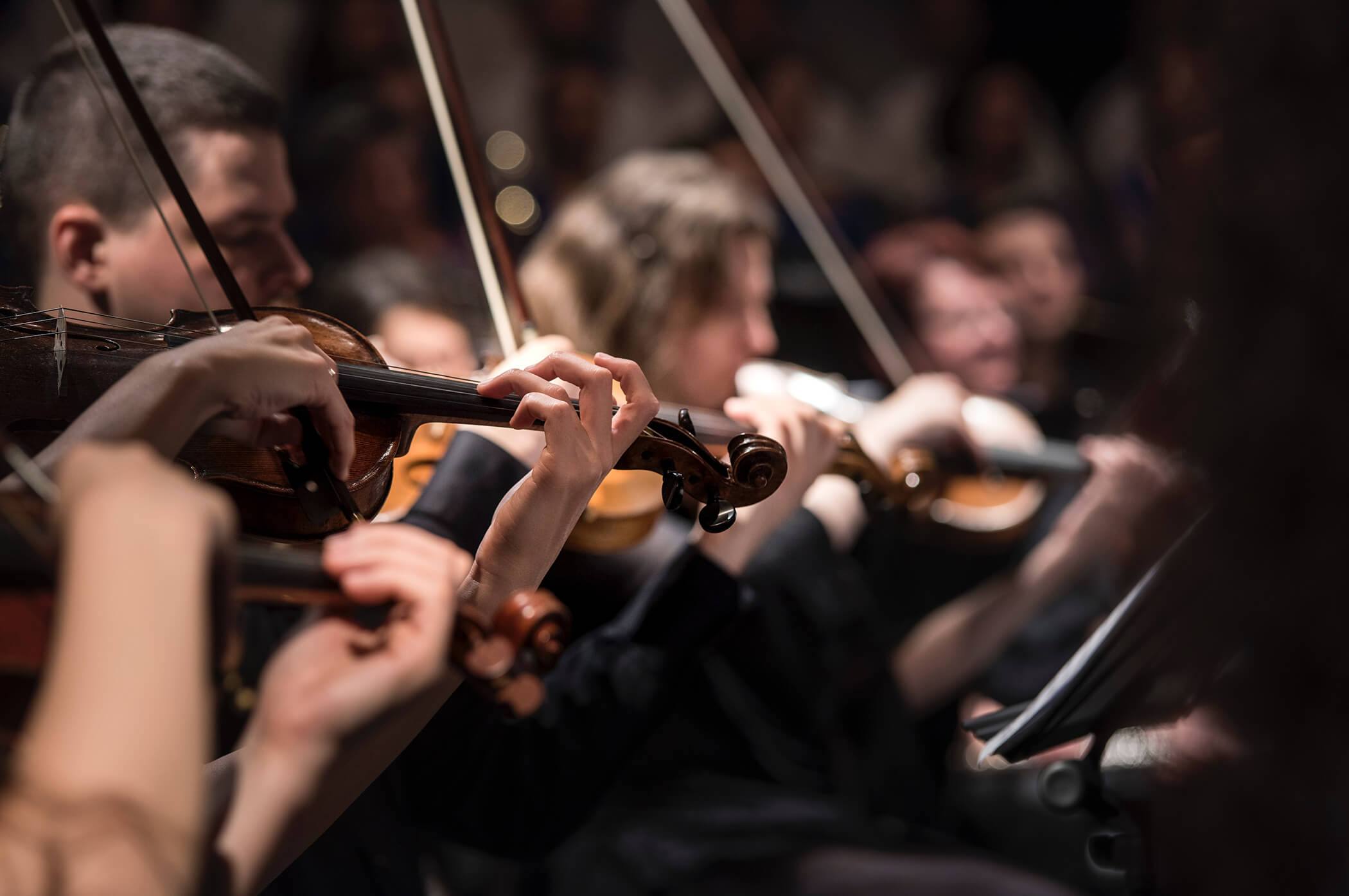 Violinists in concert